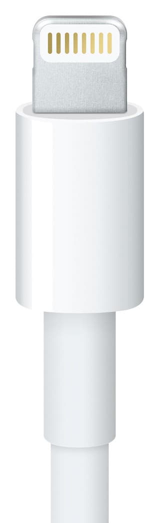 Apple Lightning USB-adapter 30-pin (20cm)