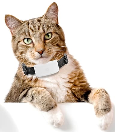 TK-911 Mini GPS-tracker till katter och hundar
