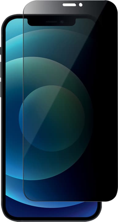 Panzer Privacy skärmskydd för iPhone 12 Pro Max (svart)