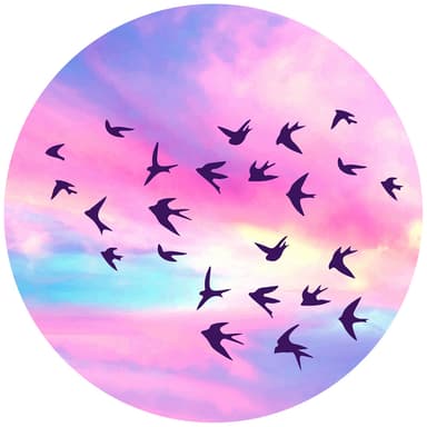 Popsockets mobilhållare (born free)
