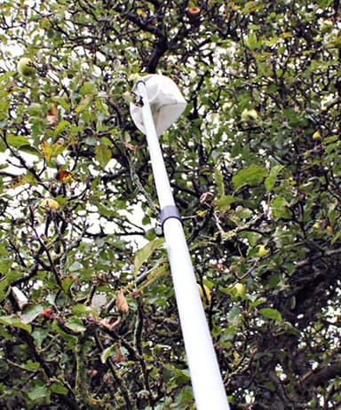 Fruktplukker teleskopisk 150-260 cm