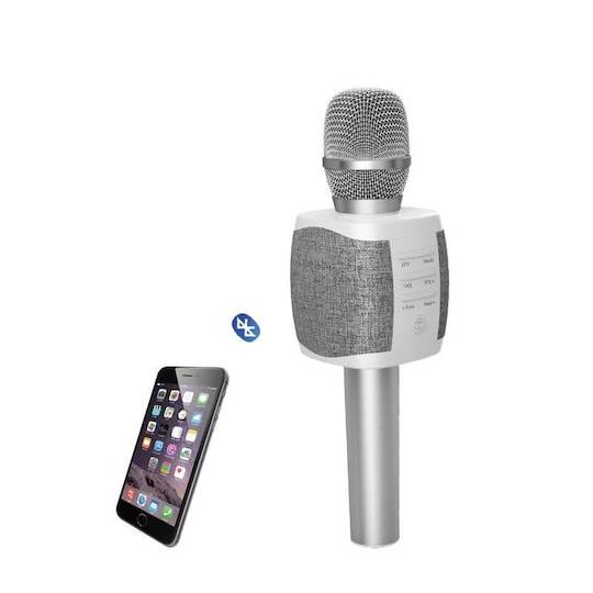 Karaoke Mikrofon och högtalare 2 i 1, Silver