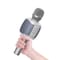 Karaoke Mikrofon och högtalare 2 i 1, Silver