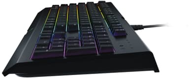 Razer Cynosa Chroma tangentbord gaming