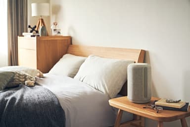 Sony SRS-RA3000 högtalare (ljusgrå)