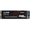 PNY CS3040 NVMe intern SSD (1TB)