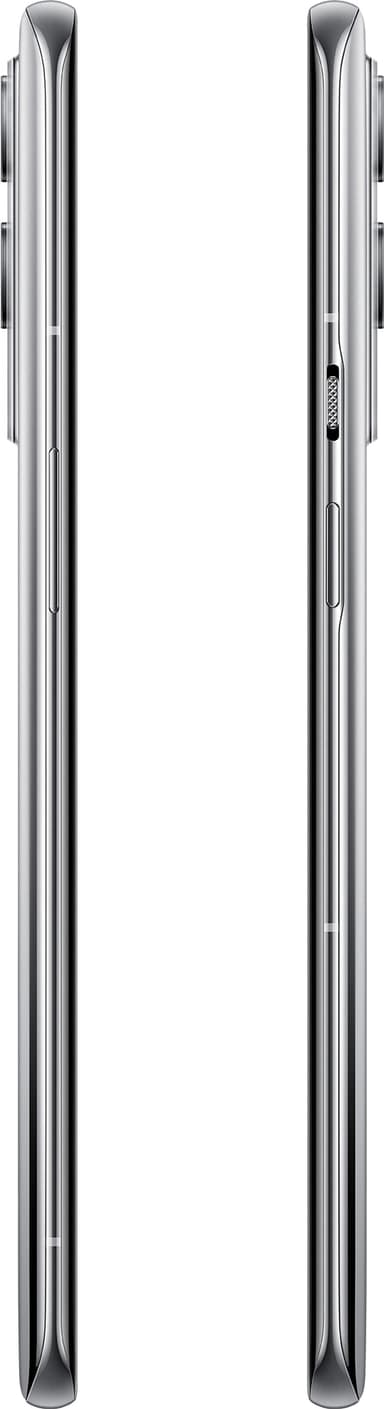 OnePlus 9 Pro 5G smartphone 8/128GB (morning mist)