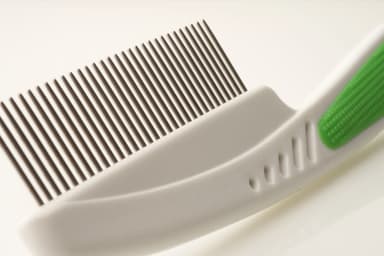 Wahl Animal Kam mot tovor 858458016 Wahl Animal Kam mot tovor 858458016