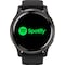 Garmin Venu 2 GPS smartwatch (black slate)