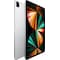 iPad Pro 12.9" 2021 256 GB WiFi + Cellular (silver)