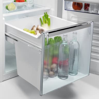 AEG Kylskåp SKB618F1DS