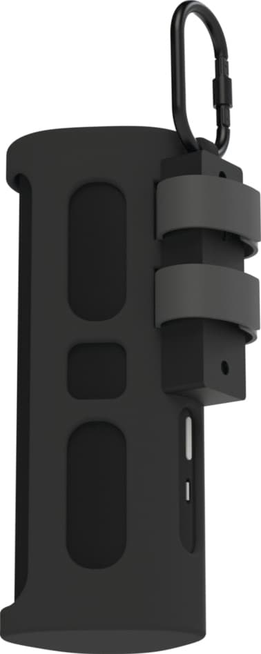 Flexson Sonos Roam resefodral