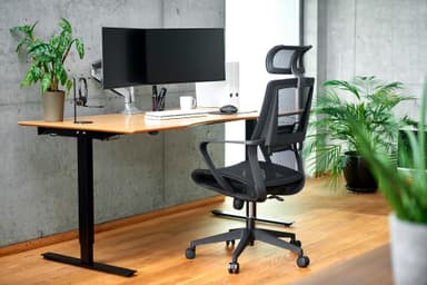 Zen Office 550 ergonomisk kontorsstol