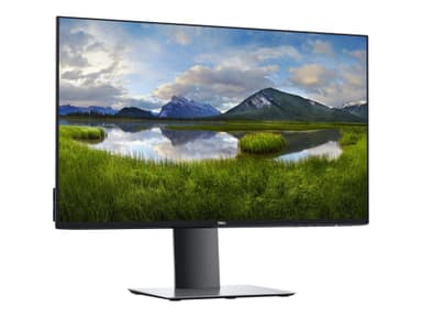 Dell UltraSharp U2421HE - LED-skärm - Full HD (1080p) - 24