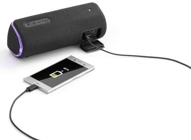 Sony portabel trådlös högtalare SRS-XB31 (svart)