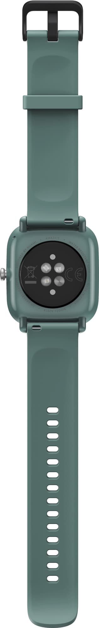 Amazfit GTS 2 mini-smartwatch (sage green)