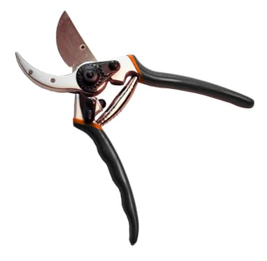 Beskjæringssaks 22 cm. - Profesjonell