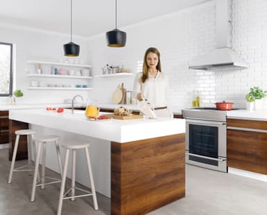 Electrolux Rapido handdammsugare ZB5003SW (shell white)