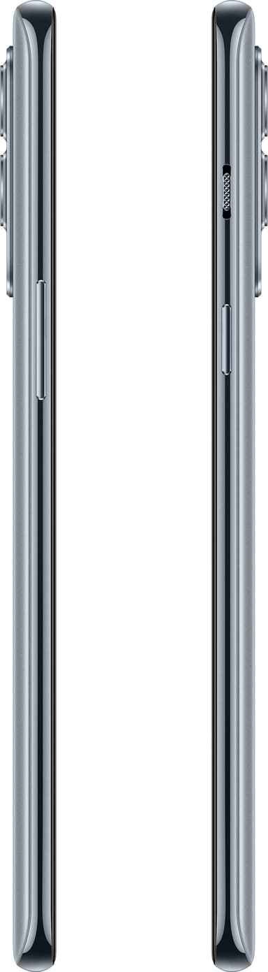 OnePlus Nord 2 5G smartphone 12/256GB (gray sierra)
