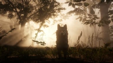 Red Dead Redemption 2 (download)
