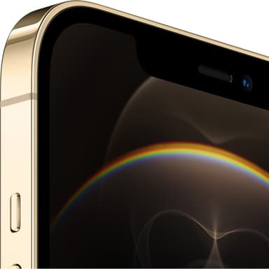 iPhone 12 Pro Max - 5G smartphone 128GB (guld)