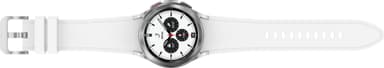 Samsung Galaxy Watch4 Classic 42mm LTE (silver)