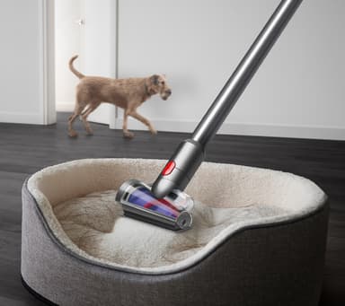 Dyson V15 Detect Absolute Extra sladdlös dammsugare 36954501