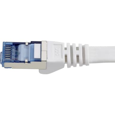 Renkforce RF-4149846 RJ45 Nätverk Anslutningskabel CAT