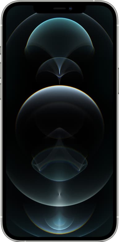 iPhone 12 Pro Max - 5G smartphone 256GB (silver)