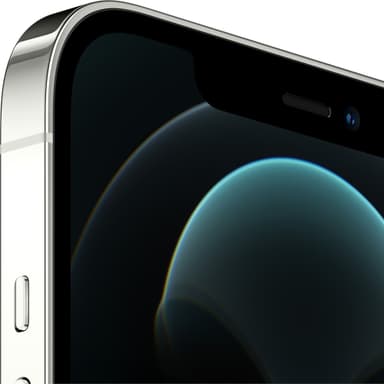 iPhone 12 Pro Max - 5G smartphone 256GB (silver)