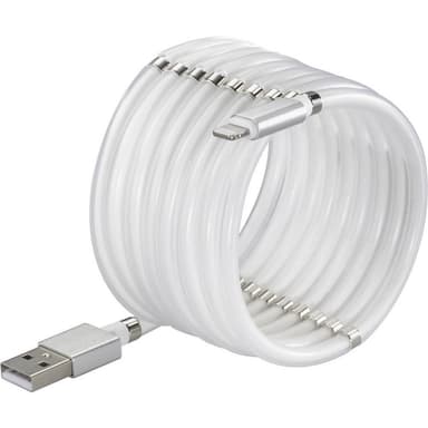 Renkforce TO-6897012 [1x USB 2.0 A hane - 1x Apple