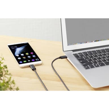 Renkforce RF-4381071 USB 3.2 (Gen 2x2) [1x USB-C® hane
