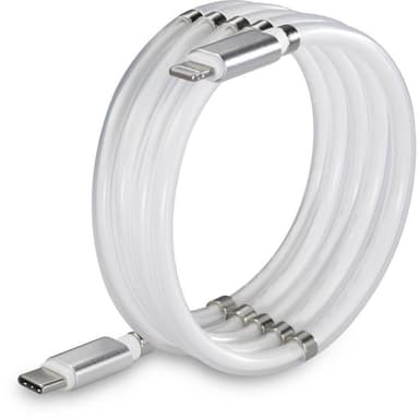 Renkforce TO-6886782 [1x USB 2.0 kontakt C - 1x Apple
