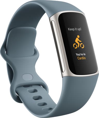 Fitbit Charge 5 aktivitetsarmband  (steel blue/platinum)