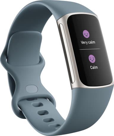 Fitbit Charge 5 aktivitetsarmband  (steel blue/platinum)