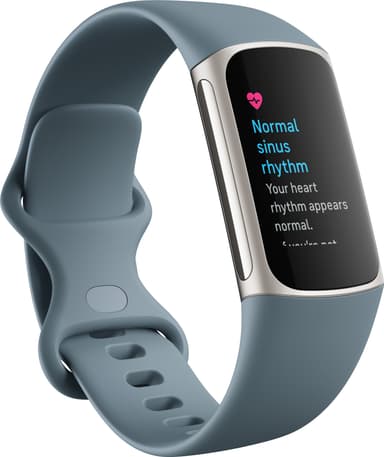 Fitbit Charge 5 aktivitetsarmband  (steel blue/platinum)