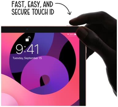 iPad Air (2020) 256 GB LTE (space gray)