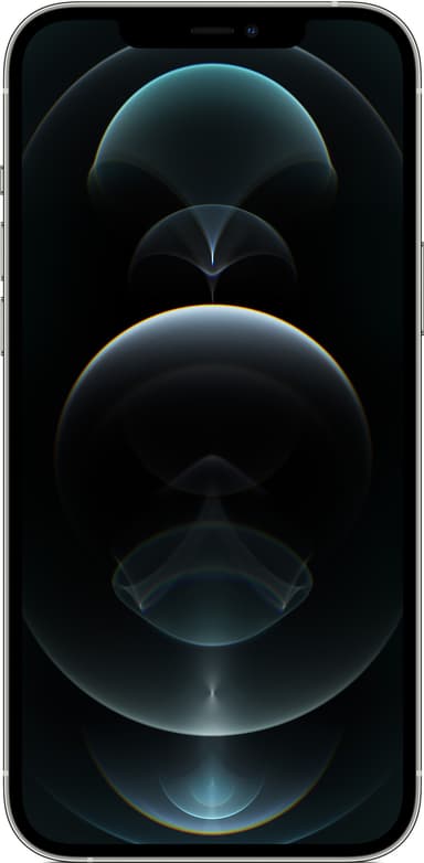iPhone 12 Pro Max - 5G smartphone 128GB (silver)