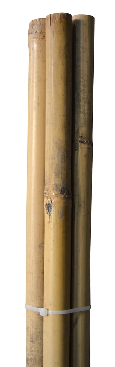 Bambuspinne - 150 cm - Ø25,4 mm - 4 stk.