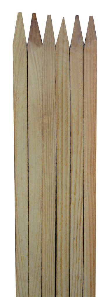 Blomsterpinne i hardt tre - 180 cm - 5 stk.