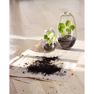 Design House, Grow odlingskupa small