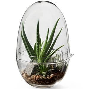 Design House, Grow odlingskupa x-large