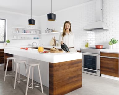 Electrolux Rapido handdammsugare ZB6114IGM (grå)