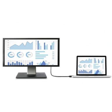 Renkforce HDMI / DisplayPort Anslutningskabel 1.00 m