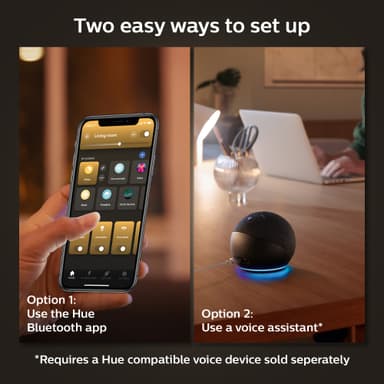 Philips Hue WA 13.5W A67 E27