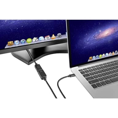 Renkforce USB-C™ / DisplayPort Adapterkabel 1.80 m