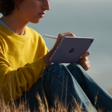iPad mini (2021) 256 GB 5G (space gray)