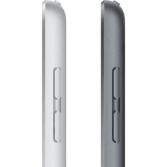 iPad 10.2" (2021) 256 GB 4G LTE (space gray)