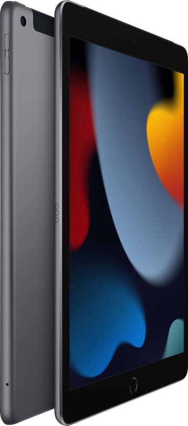 iPad 10.2" (2021) 256 GB 4G LTE (space gray)