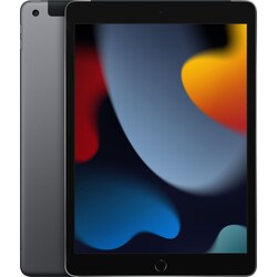 iPad 10.2" (2021) 256 GB 4G LTE (space gray)